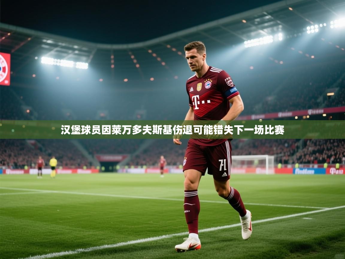 汉堡球员因莱万多夫斯基伤退可能错失下一场比赛  第1张