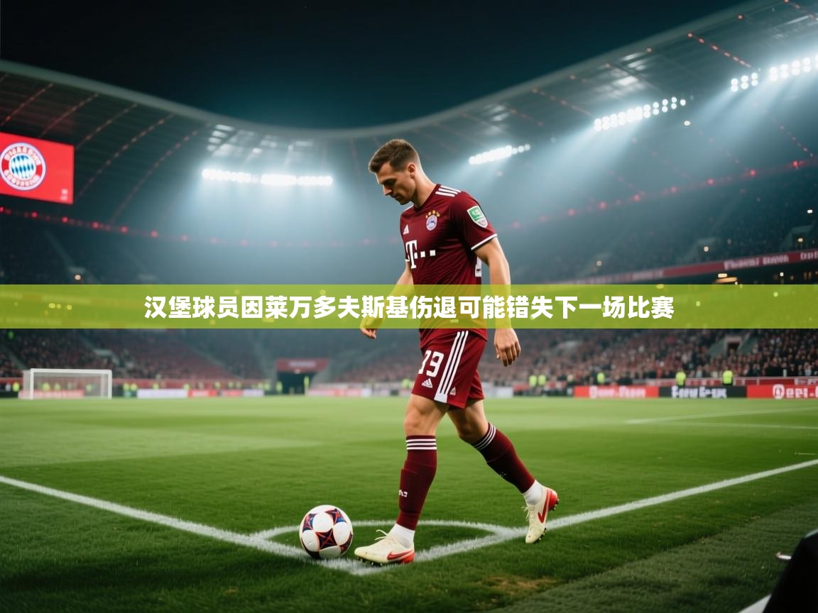 汉堡球员因莱万多夫斯基伤退可能错失下一场比赛  第2张