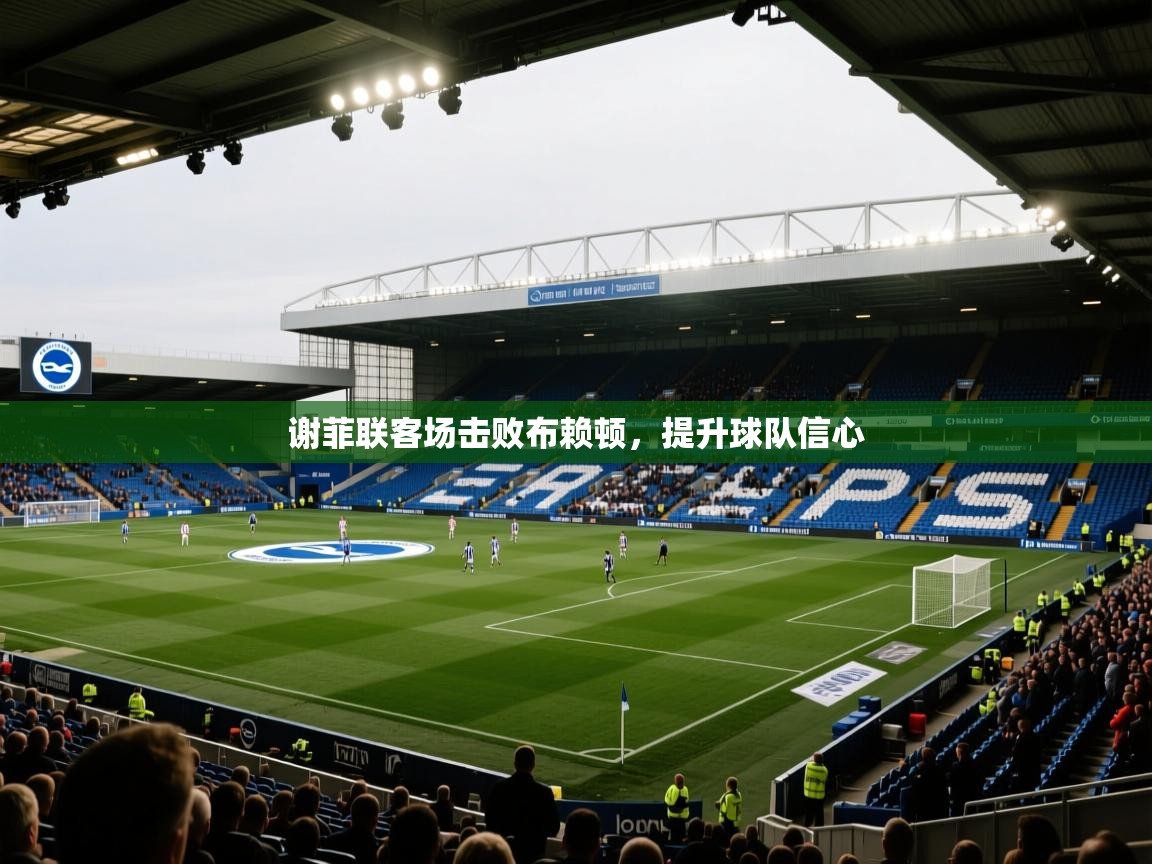 谢菲联客场击败布赖顿，提升球队信心  第1张