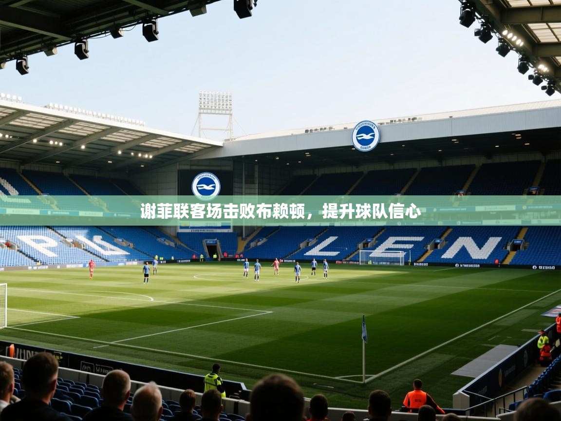 谢菲联客场击败布赖顿，提升球队信心  第2张