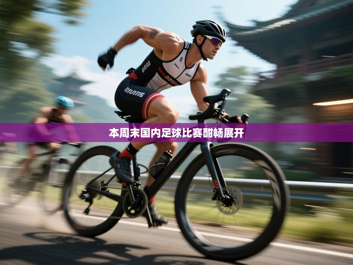 本周末国内足球比赛酣畅展开 第1张