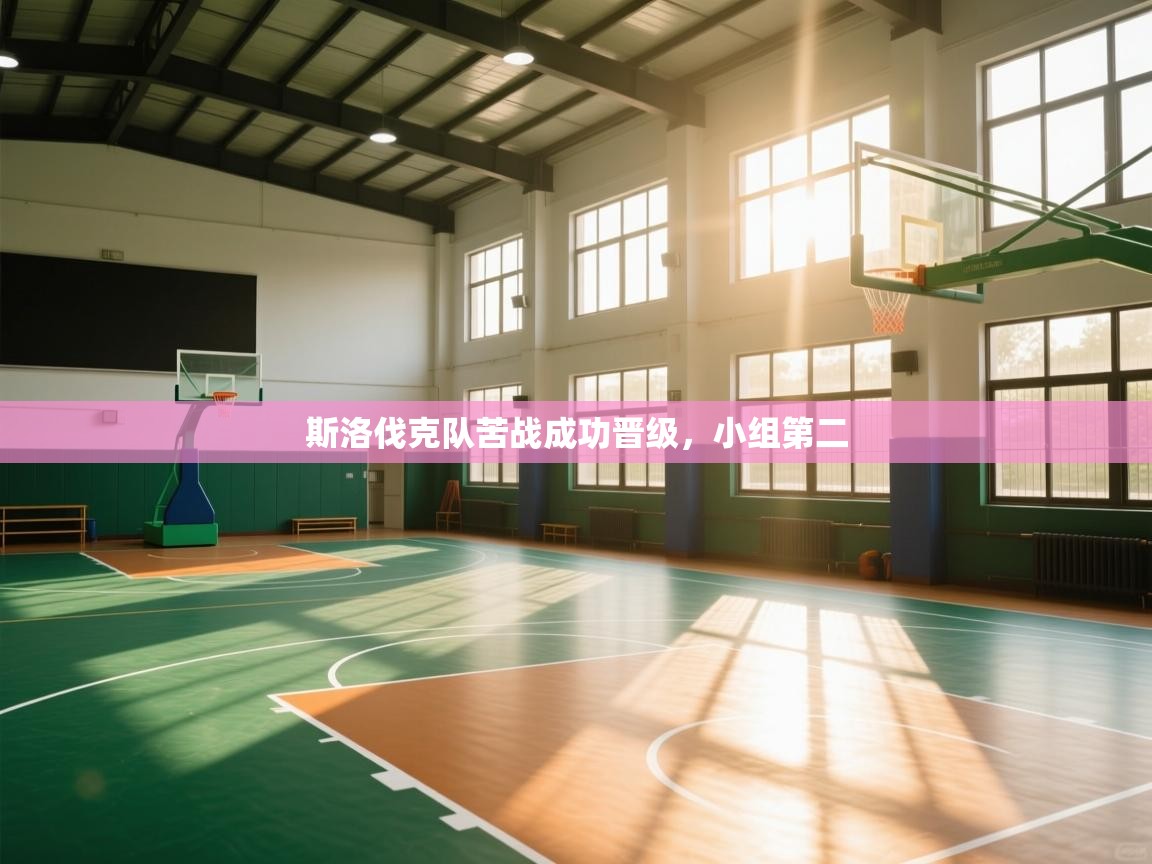 斯洛伐克队苦战成功晋级,小组第二 第1张